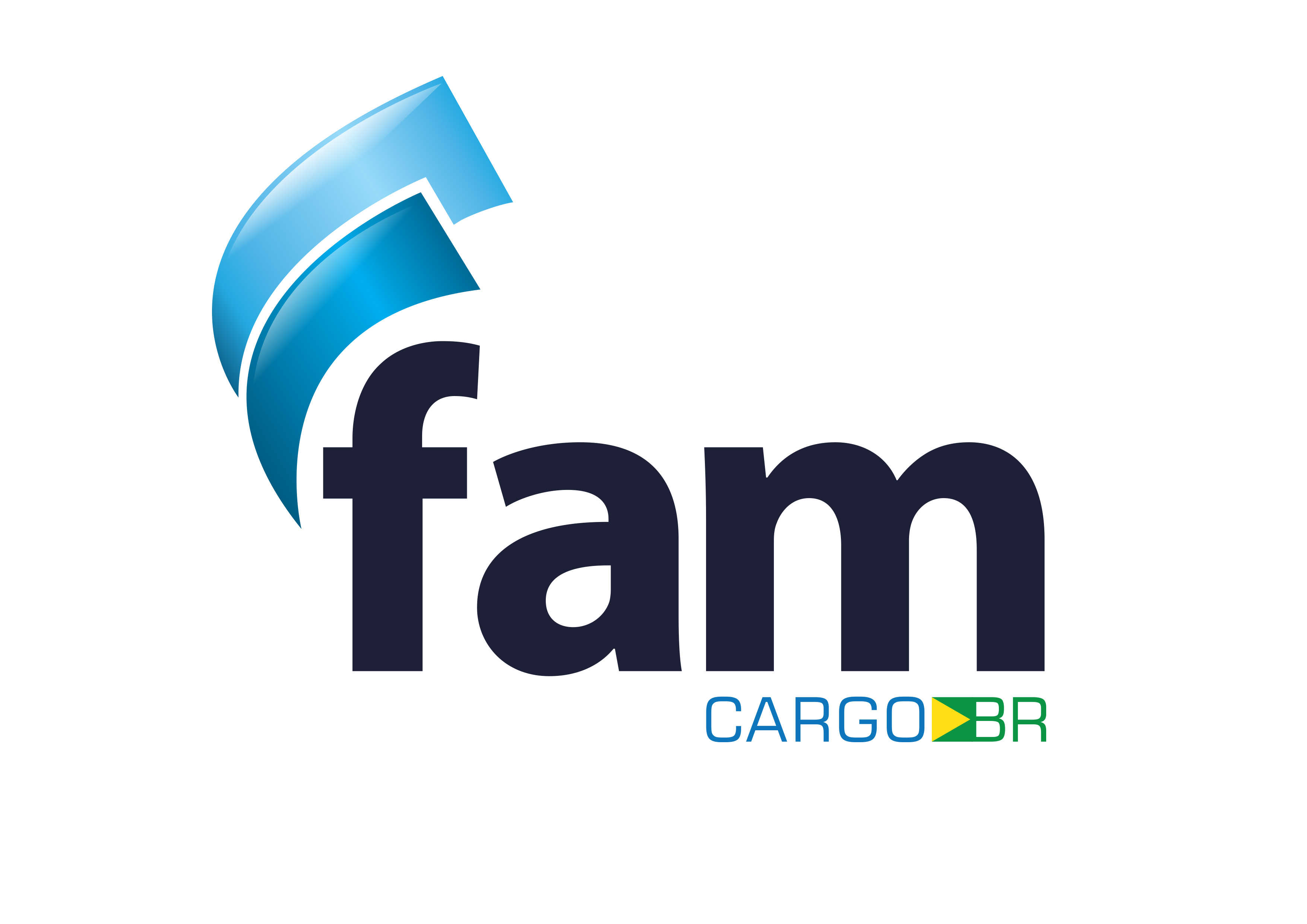 Fam Cargo Br Logistica Intern. Ltda